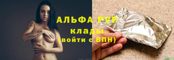 гашик Сосновый Бор