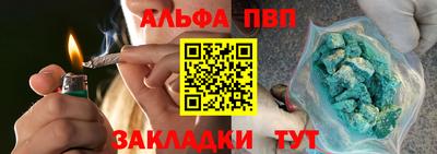 прущие грибы Гусев