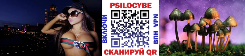 Галлюциногенные грибы прущие грибы  где можно купить наркотик  Шатура 